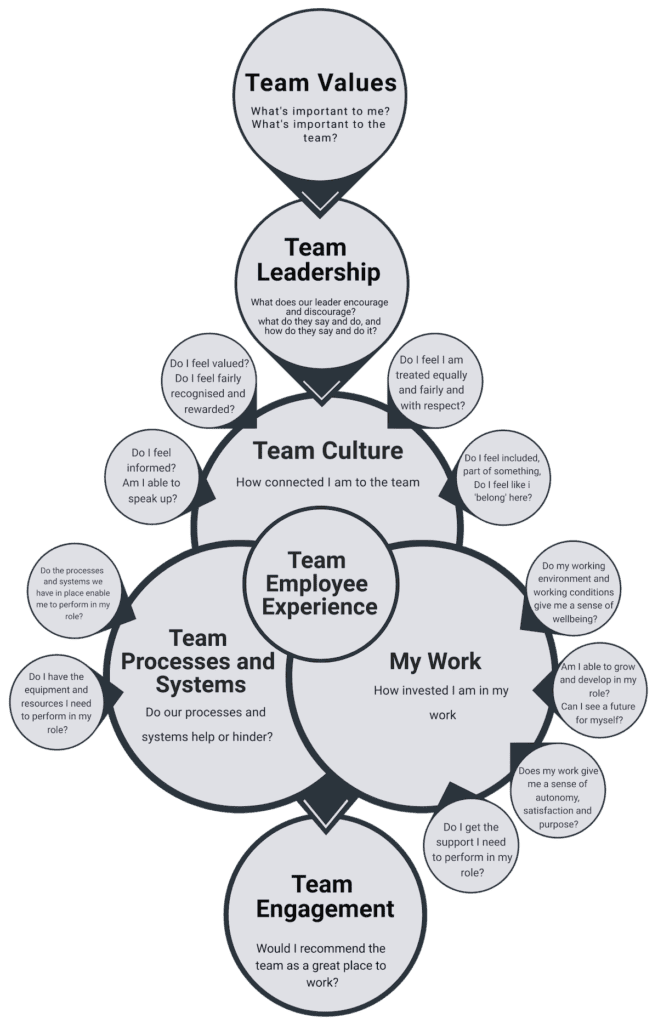 Team Experience Survey | Quick | Inexpensive | Insightful